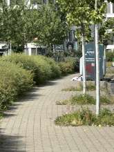 Bild zu gemeldetem Anliegen vom *2025-08-23 13:10:33