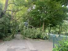 Bild zu gemeldetem Anliegen vom *2025-08-12 06:31:11