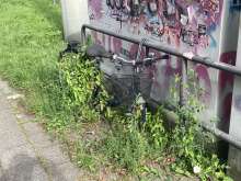 Bild zu gemeldetem Anliegen vom *2025-08-07 15:36:24