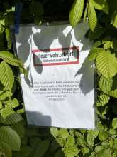 Bild zu gemeldetem Anliegen vom *2025-08-29 09:32:41