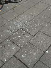 Bild zu gemeldetem Anliegen vom *2025-08-02 12:21:50