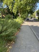 Bild zu gemeldetem Anliegen vom *2025-08-10 09:36:36