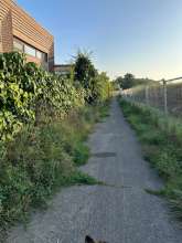 Bild zu gemeldetem Anliegen vom *2025-08-11 09:43:02