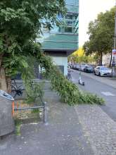 Bild zu gemeldetem Anliegen vom *2025-08-27 18:28:43