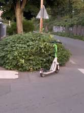 Bild zu gemeldetem Anliegen vom *2025-08-20 18:27:13