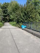 Bild zu gemeldetem Anliegen vom *2025-08-11 13:48:36