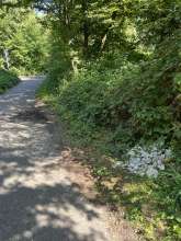 Bild zu gemeldetem Anliegen vom *2025-08-11 13:45:37