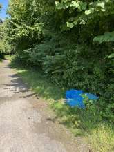 Bild zu gemeldetem Anliegen vom *2025-08-11 12:28:18