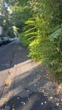 Bild zu gemeldetem Anliegen vom *2025-08-29 06:34:46