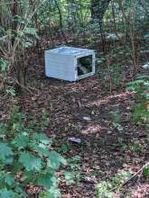 Bild zu gemeldetem Anliegen vom *2025-08-09 13:38:53