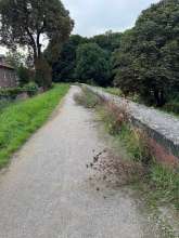 Bild zu gemeldetem Anliegen vom *2025-08-05 09:57:52