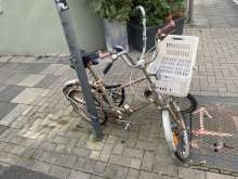 Bild zu gemeldetem Anliegen vom *2025-08-06 08:24:15