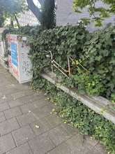 Bild zu gemeldetem Anliegen vom *2025-08-06 11:14:20