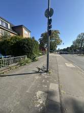 Bild zu gemeldetem Anliegen vom *2025-08-11 15:27:33