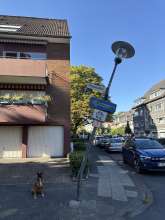 Bild zu gemeldetem Anliegen vom *2025-08-11 15:27:33