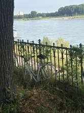 Bild zu gemeldetem Anliegen vom *2025-08-12 11:16:20