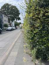 Bild zu gemeldetem Anliegen vom *2025-08-14 15:35:12