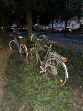 Bild zu gemeldetem Anliegen vom *2025-08-19 21:17:55
