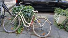 Bild zu gemeldetem Anliegen vom *2025-09-20 13:27:32