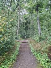 Bild zu gemeldetem Anliegen vom *2025-09-26 15:27:25