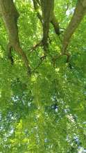 Bild zu gemeldetem Anliegen vom *2025-09-12 09:59:03