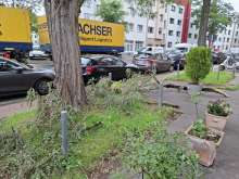 Bild zu gemeldetem Anliegen vom *2025-09-17 15:28:32