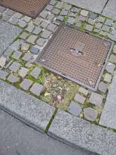 Bild zu gemeldetem Anliegen vom *2025-09-21 18:55:05