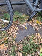Bild zu gemeldetem Anliegen vom *2025-09-24 12:29:07