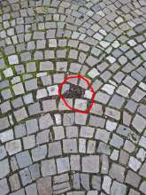 Bild zu gemeldetem Anliegen vom *2025-09-25 09:36:44