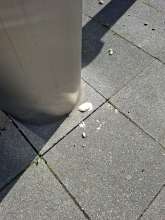 Bild zu gemeldetem Anliegen vom *2025-09-27 12:27:41