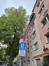 Bild zu gemeldetem Anliegen vom *2025-09-27 16:04:22