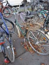 Bild zu gemeldetem Anliegen vom *2025-09-28 18:07:03