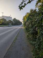 Bild zu gemeldetem Anliegen vom *2025-09-19 09:30:33