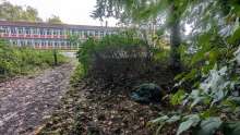 Bild zu gemeldetem Anliegen vom *2025-09-10 09:29:30