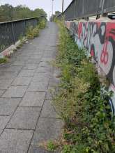 Bild zu gemeldetem Anliegen vom *2025-09-30 09:29:38