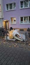 Bild zu gemeldetem Anliegen vom *2025-09-24 11:27:44