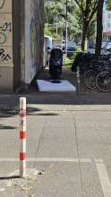 Bild zu gemeldetem Anliegen vom *2025-09-19 18:32:53