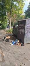 Bild zu gemeldetem Anliegen vom *2025-09-30 14:35:34