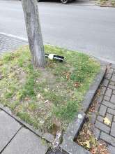 Bild zu gemeldetem Anliegen vom *2025-09-08 19:36:09