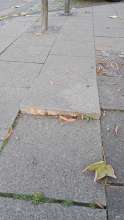 Bild zu gemeldetem Anliegen vom *2025-09-14 16:47:01