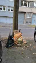 Bild zu gemeldetem Anliegen vom *2025-09-28 18:36:59