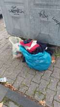 Bild zu gemeldetem Anliegen vom *2025-09-22 09:34:13