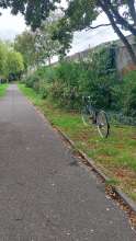 Bild zu gemeldetem Anliegen vom *2025-09-21 12:59:00