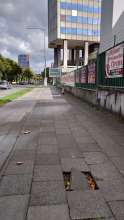 Bild zu gemeldetem Anliegen vom *2025-09-22 12:27:51