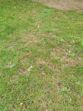 Viele Glasscheiben auf Spielplatz Bild zu gemeldetem Anliegen vom *2025-09-21 12:31:17