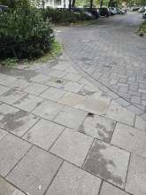 Bild zu gemeldetem Anliegen vom *2025-09-25 09:36:44