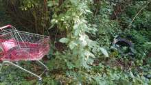 Bild zu gemeldetem Anliegen vom *2025-09-27 09:36:51