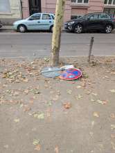 Bild zu gemeldetem Anliegen vom *2025-09-20 06:29:22