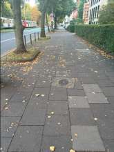 Bild zu gemeldetem Anliegen vom *2025-09-07 09:28:26