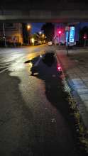 Bild zu gemeldetem Anliegen vom *2025-09-04 06:43:18